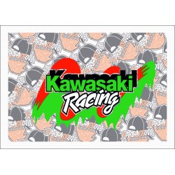 KAWASAKI RACING