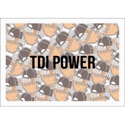 TDI POWER