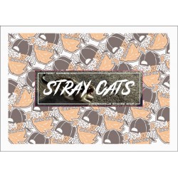 SLAP STRAY CATS